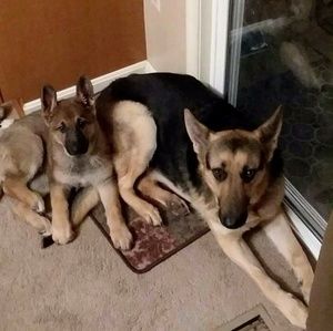 Meet your Posher, Michelle